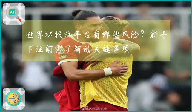 世界杯投注平台有哪些风险？新手下注前需了解的关键事项