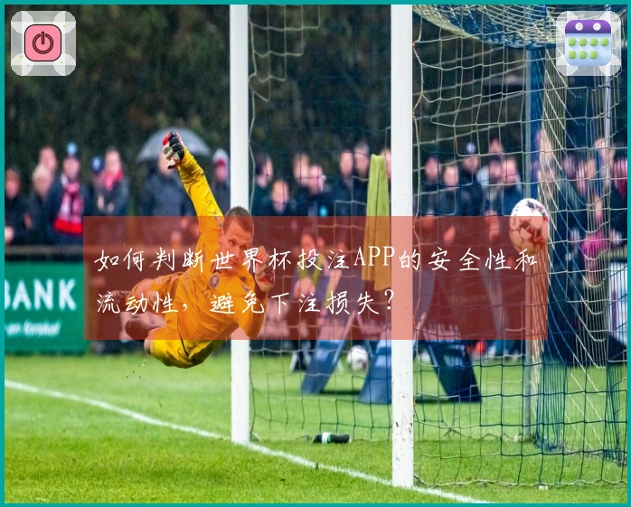 如何判断世界杯投注APP的安全性和流动性，避免下注损失？