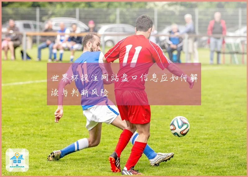世界杯投注网站盘口信息应如何解读与判断风险