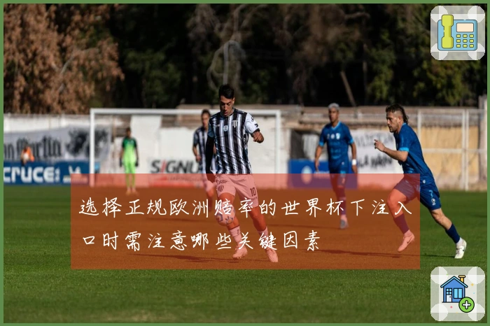 选择正规欧洲赔率的世界杯下注入口时需注意哪些关键因素