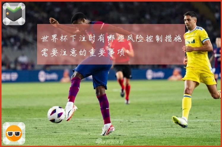 世界杯下注时有哪些风险控制措施需要注意的重要事项